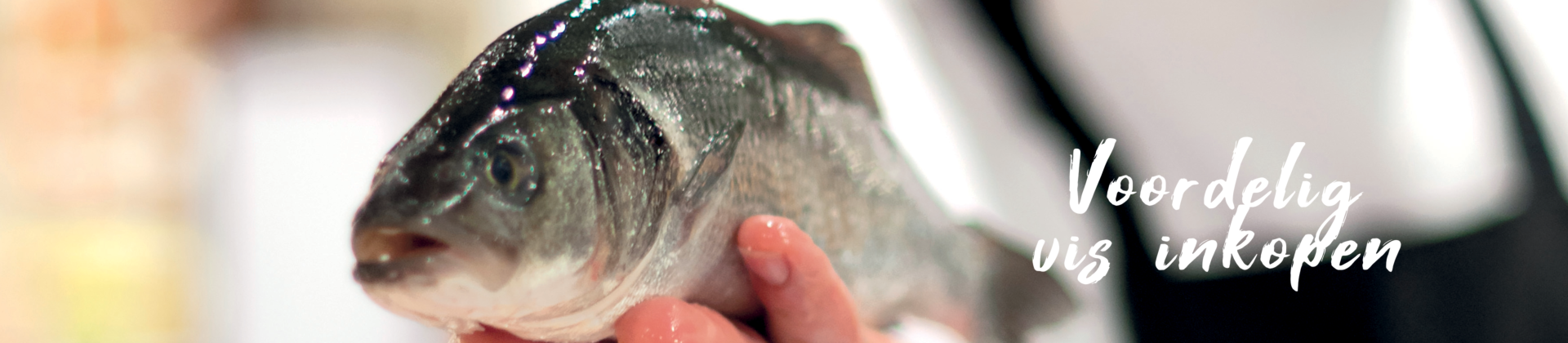 voordelig vis inkopen